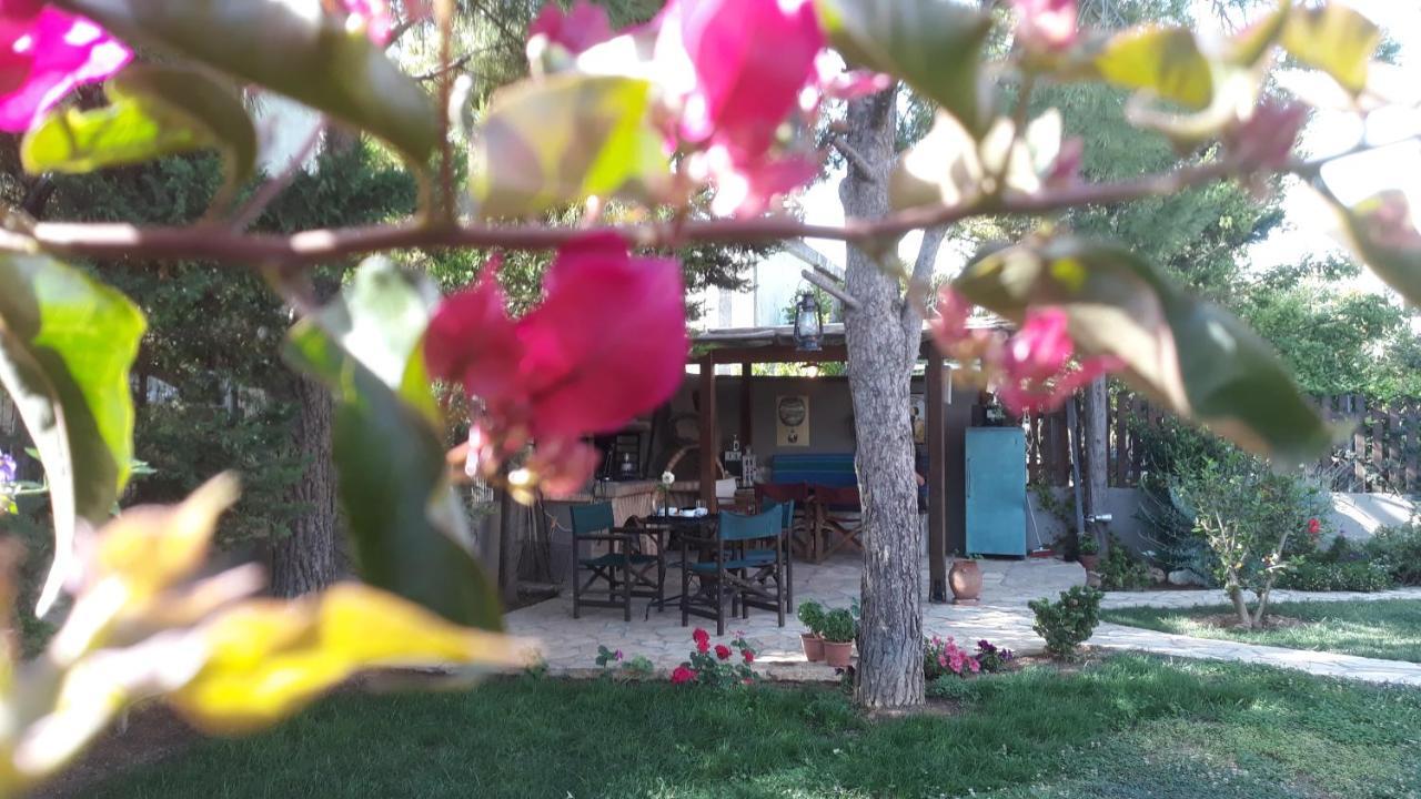 Home Sweet Home 阿特米达 外观 照片